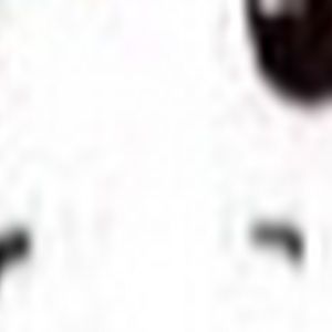 Meet your Posher, Ava